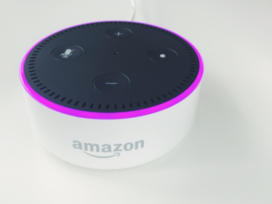 Voice Assistant