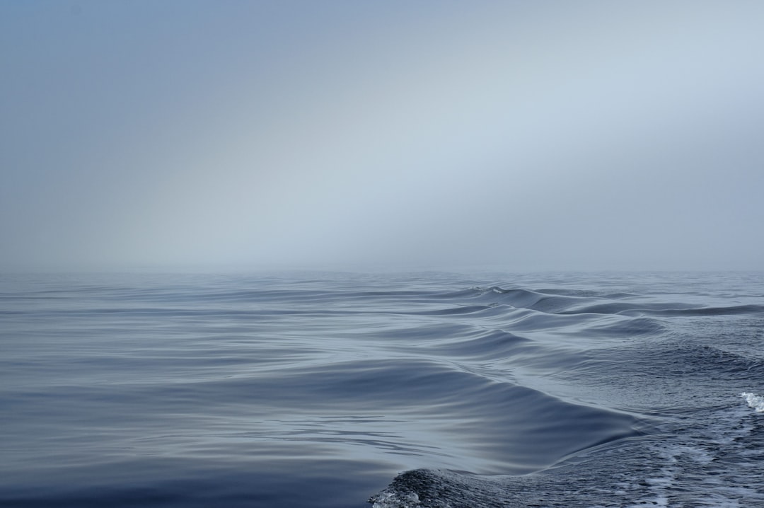 Inwestycje w technologię oceaniczną: przyszłość morskich biznesów