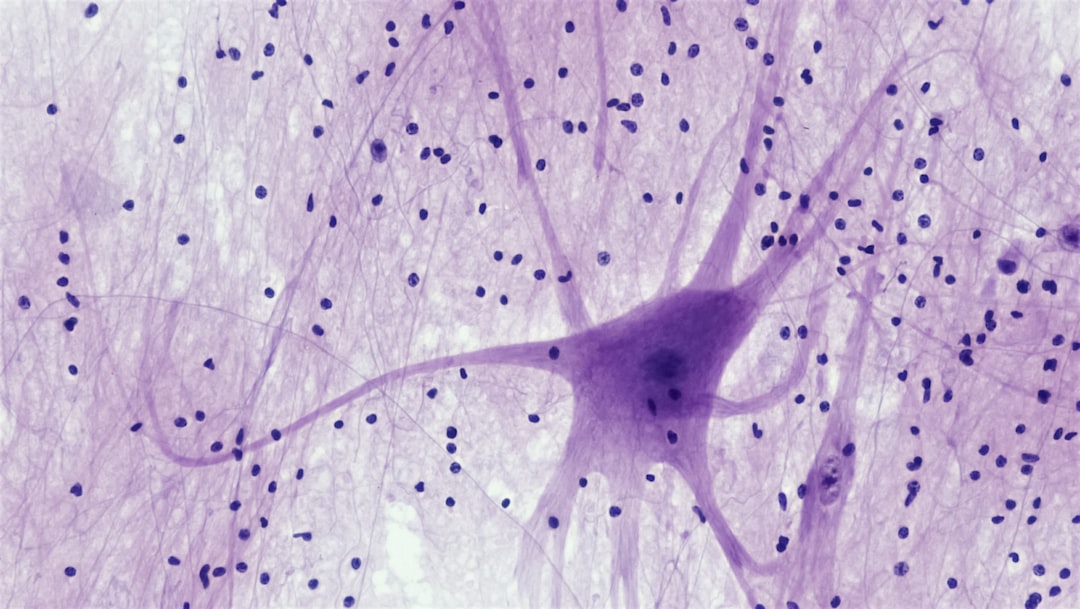 Płatności przez mózg: neuronalne interfejsy